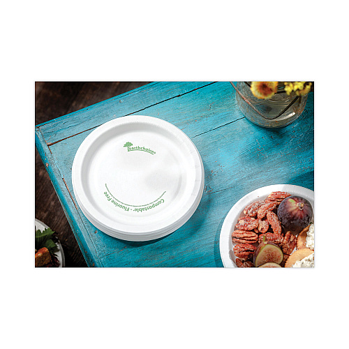 Pactiv EarthChoice Pressware Compostable Dinnerware, Plate, 10" dia, White, 300/Carton (PSP10EC)