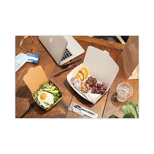 Pactiv EarthChoice OneBox Paper Box, 55 oz, 9 x 4.85 x 2, White, 100/Carton (NOB02W)