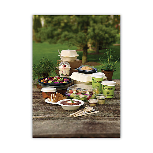 Pactiv EarthChoice Compostable Soup Cup, Small, 8 oz, 3 x 3 x 3, Brown, Paper, 500/Carton (PHSC8ECDI)