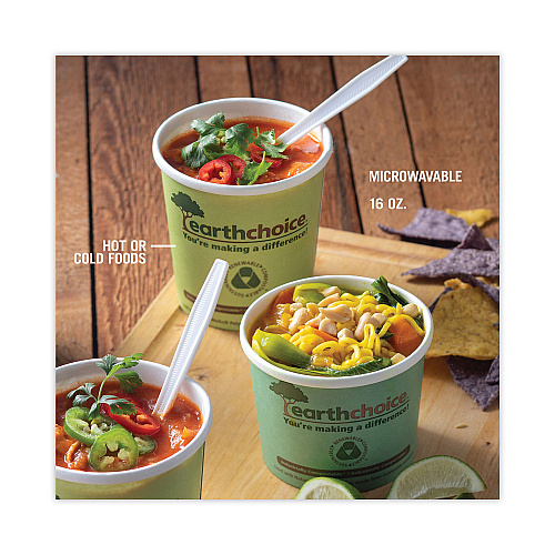 Pactiv EarthChoice Compostable Soup Cup Large, 16 oz, 3.63" Diameter x 3.88"h, Green, Paper, 500/Carton (PHSC16ECDI)