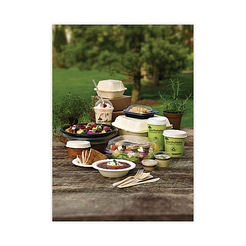 Pactiv EarthChoice Compostable Soup Cup Large, 16 oz, 3.63" Diameter x 3.88"h, Green, Paper, 500/Carton (PHSC16ECDI)