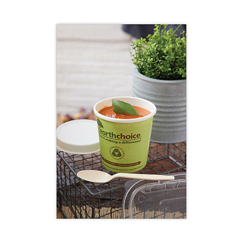 Pactiv EarthChoice Compostable Soup Cup Large, 16 oz, 3.63" Diameter x 3.88"h, Green, Paper, 500/Carton (PHSC16ECDI)