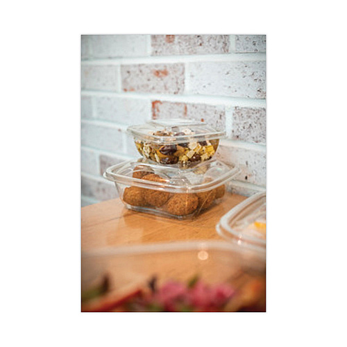 Pactiv EarthChoice Square Recycled Bowl, 16 oz, 5 x 5 x 1.75, Clear, Plastic, 504/Carton (SAC0516)