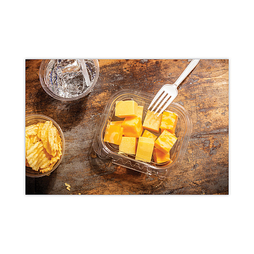 Pactiv EarthChoice Tamper Evident Recycled Hinged Lid Deli Container, 16 oz, 5.38 x 4.5 x 2.63, Clear, Plastic, 304/Carton (TEHL5X416)