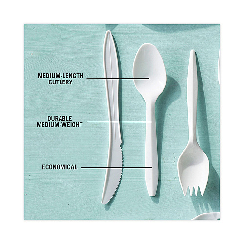 Pactiv Fieldware Cutlery, Spoon, Mediumweight, White, 1,000/Carton (YFWSWCH)