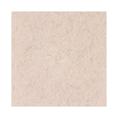 Boardwalk&reg; Extra High-Speed Natural Hair Floor Pads, 20" dia, 5 Pads (BWK4020NHE)