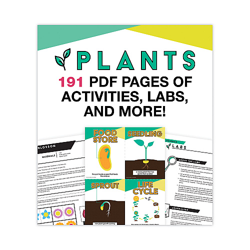 Carson-Dellosa In a Flash USB, Plants, Ages 5-8, 191 Pages (109565)