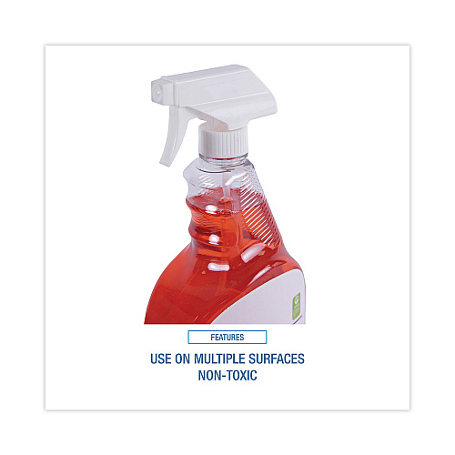 Boardwalk&reg; Natural All Purpose Cleaner, 32 oz., 12 Spray Bottles (BWK47112)
