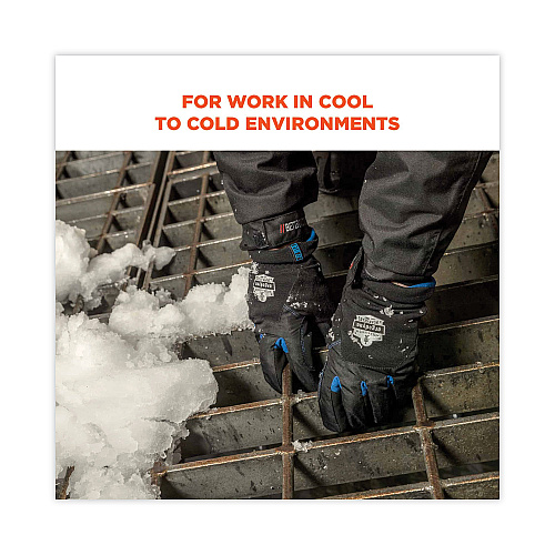 ergodyne ProFlex 814 Thermal Utility Gloves, Black, Medium, Pair (17333)