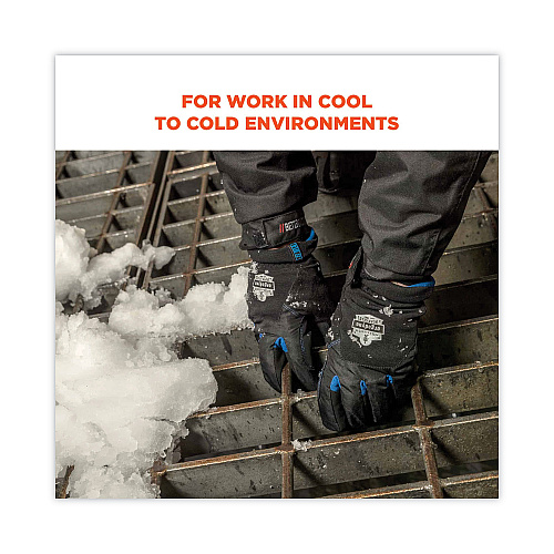 ergodyne ProFlex 814 Thermal Utility Gloves, Black, X-Large, Pair (17335)