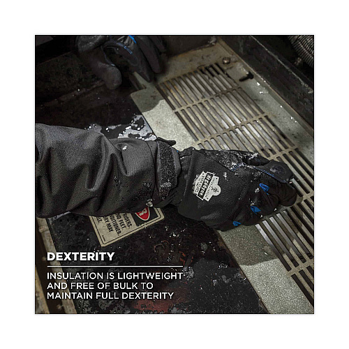 ergodyne ProFlex 814 Thermal Utility Gloves, Black, 2X-Large, Pair (17336)