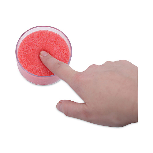 Universal Sponge Cup Moistener, 3" Diameter, Clear (UNV56503)