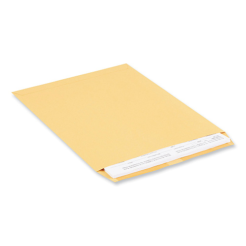 Universal Catalog Envelope, 28 lb Bond Weight Kraft, #12 1/2, Square Flap, Gummed Closure, 9.5 x 12.5, Brown Kraft, 250/Box (UNV42165)