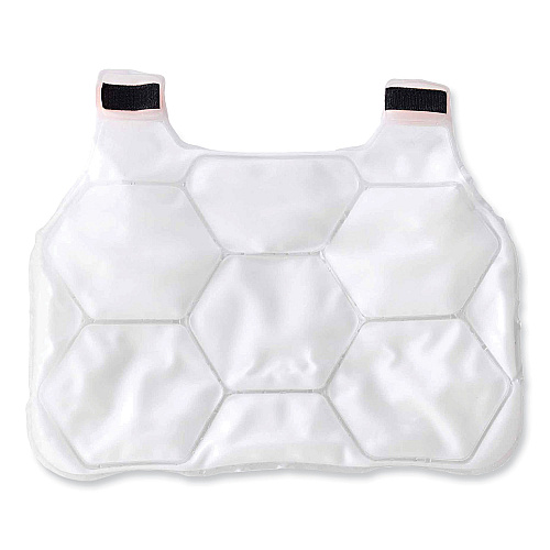 ergodyne Chill-Its 6220 Phase Change Cooling Vest Charge Packs, Small/Medium, 12 x 16.25 (12201)