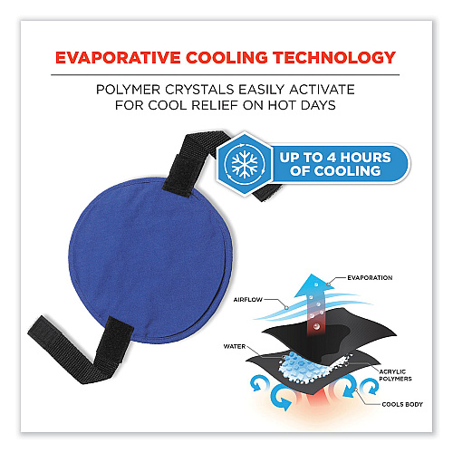 ergodyne Chill-Its 6715 Hard Hat Cooling Pad - Polymers, 7 x 6.5, Blue (12337)