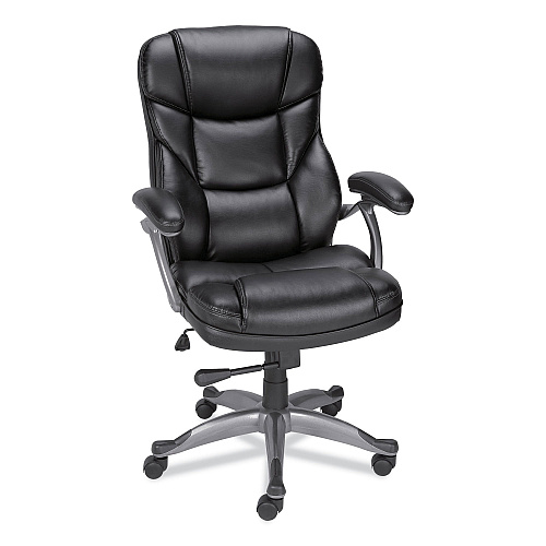 Alera Birns Series High-Back Task Chair, Supports Up to 250 lb, 18.11" to 22.05" Seat Height, Black Seat/Back, Chrome Base (ALEBN41B19)