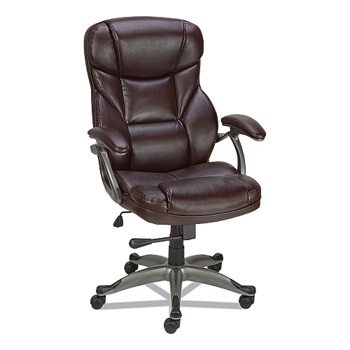 Alera Birns Series High-Back Task Chair, Supports Up to 250 lb, 18.11" to 22.05" Seat Height, Brown Seat/Back, Chrome Base (ALEBN41B59)