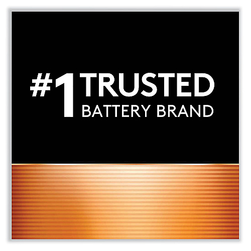 Duracell CopperTop Alkaline D Batteries, 12/Box (MN1300)