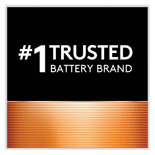 Duracell CopperTop Alkaline C Batteries, 2/Pack (MN1400B2Z)