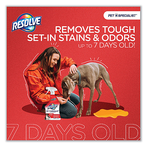 RESOLVE Pet Specialist Stain and Odor Remover, Citrus, 32 oz Trigger Spray Bottle, 12/Carton (99850CT)