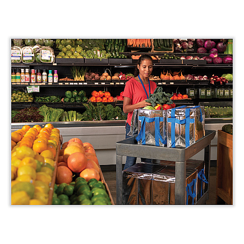 PackIt Fresh Eco Freeze Tote, (2) Blue Nylon Shoulder Straps, (2) Blue Nylon Strap Handles, 13.5" x 9" x 13", Silver/Blue, 4/Carton (UDMAG)