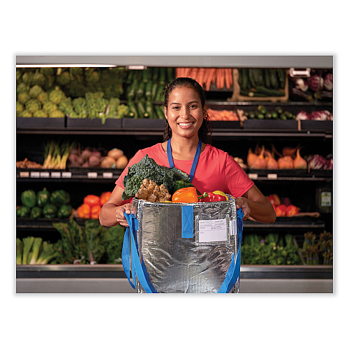 PackIt Fresh Eco Freeze Tote, (2) Blue Nylon Shoulder Straps, (2) Blue Nylon Strap Handles, 13.5" x 9" x 13", Silver/Blue, 4/Carton (UDMAG)