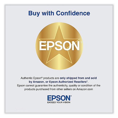 Epson T653900 UltraChrome HDR Ink, Light Light Black