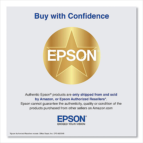Epson T850900 Ink, Light Light Black