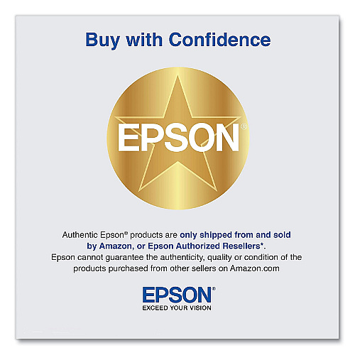 Epson T770720 (T770) UltraChrome PRO10 Ink, 25 mL, Gray
