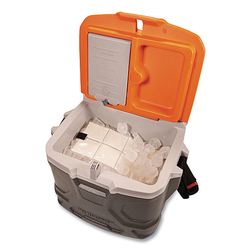 ergodyne Chill-Its 6250 Lightweight Phase Change Cooling Packs, 6 x 13, 4/Carton (12120)