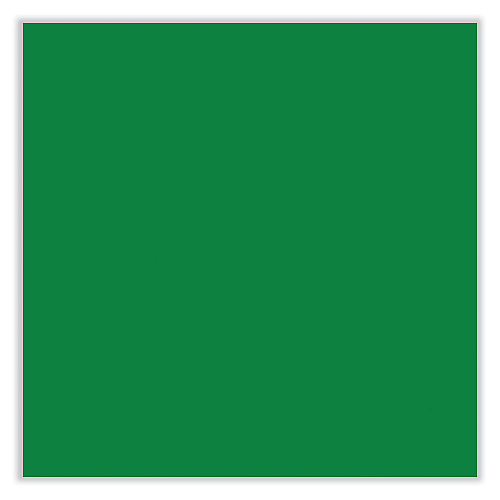 Sharpie Permanent Paint Marker, Medium Bullet Tip, Green, 12/Pack (2107620)