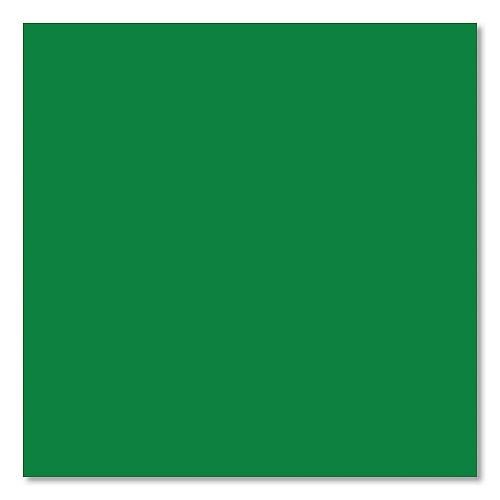 Sharpie Permanent Paint Marker, Medium Bullet Tip, Green (35552)