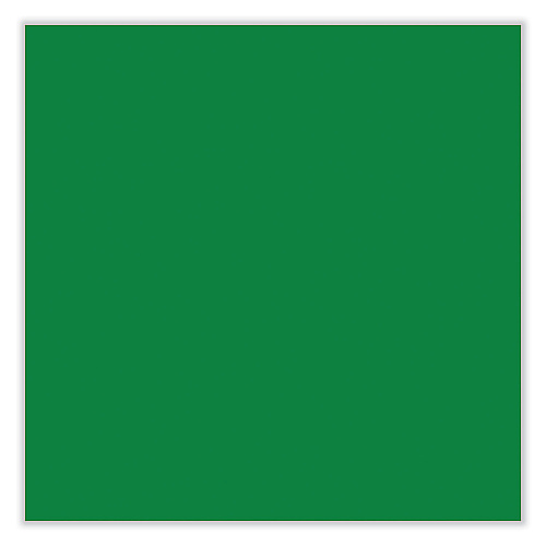 Sharpie Permanent Paint Marker, Fine Bullet Tip, Green (35537)