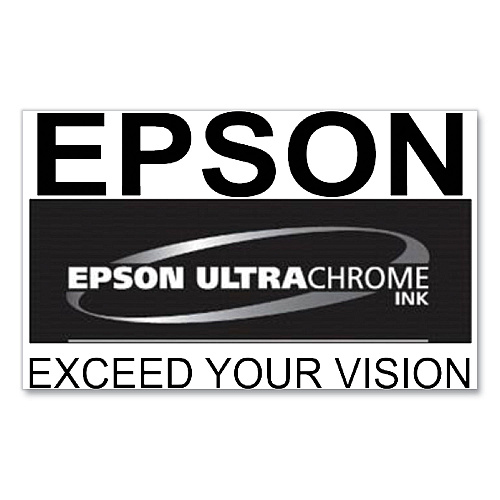 Epson T53KD20 (T53K) UltraChrome DS Ink, Violet, 2/Pack