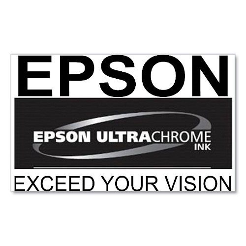 Epson T53K820 (T53K) UltraChrome DS Ink, Fluorescent Pink, 2/Pack