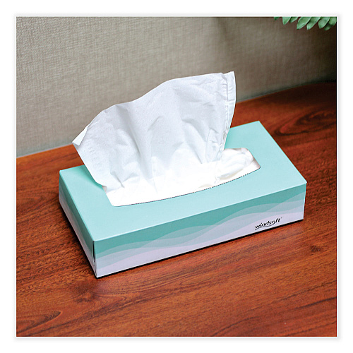 Windsoft Facial Tissue, 2 Ply, White, Flat Pop-Up Box, 100 Sheets/Box, 30 Boxes/Carton (WIN2360)