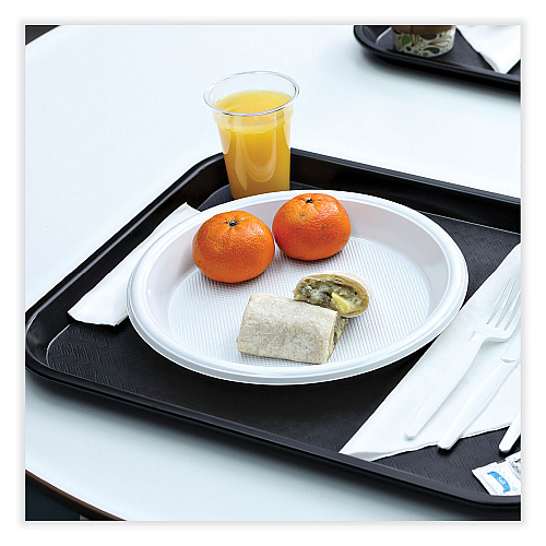Boardwalk&reg; Hi-Impact Plastic Dinnerware Plate 10" Dia, 500 Plates (BWKPLHIPS10WH)