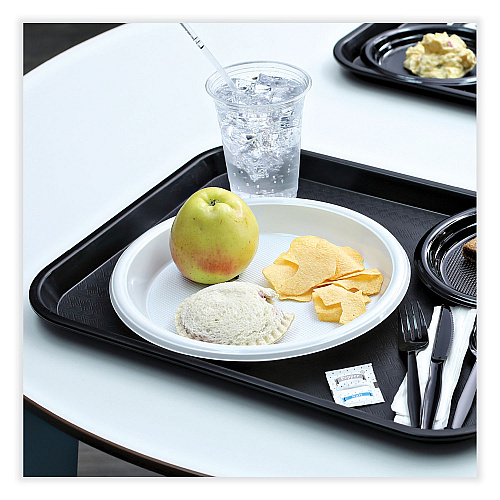 Boardwalk&reg; Hi-Impact Plastic Dinnerware Plate 10" Dia, 500 Plates (BWKPLHIPS10WH)