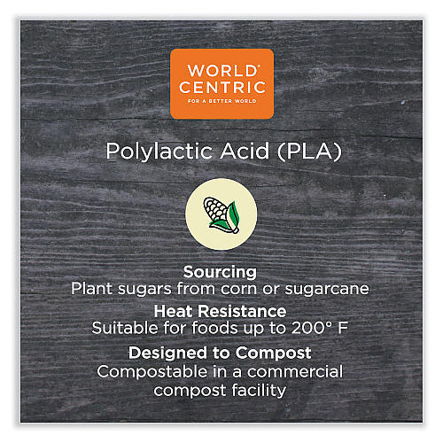 World Centric PLA Hinged Clamshells, 23 oz, 4.9 x 9 x 3.5, Clear, Plastic, 200/Carton (KLCS95N)