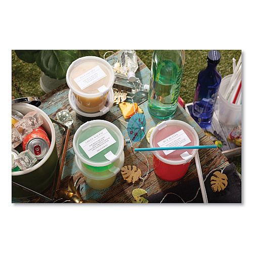 Pactiv Newspring DELItainer Microwavable Container, 12 oz, 4.55 x 4.55 x 2.45, Clear, Plastic, 480/Carton (L5012Y)