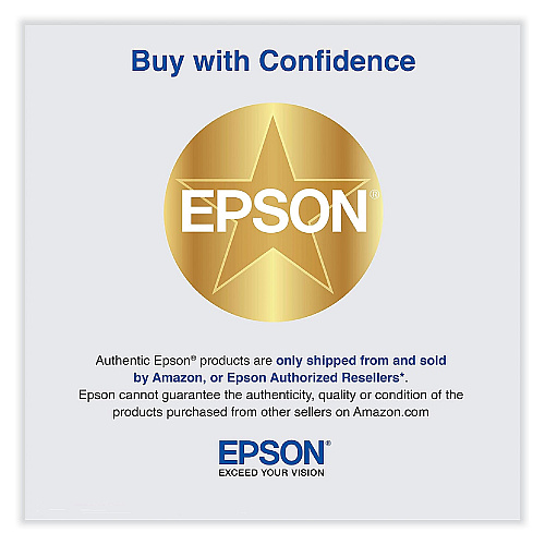 Epson T366100 Maintenance Box
