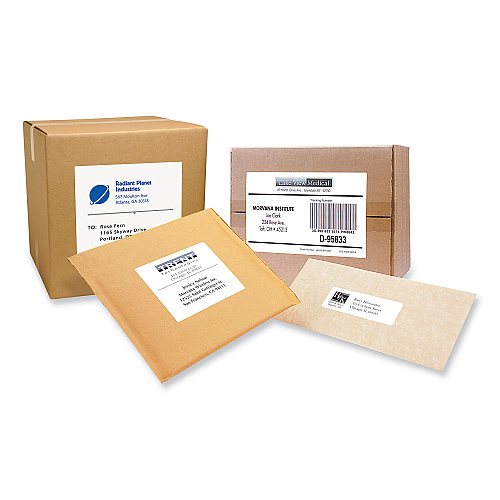 PRES-a-ply Labels, Laser Printers, 2 x 4, White, 10/Sheet, 100 Sheets/Box (30603)