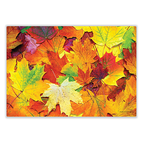 Hoffmaster Autumn Days Multi-Pack Placemats, 10 x 14, Three Different Designs, 1,000/Carton (702081)
