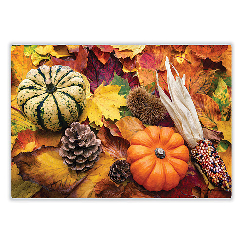 Hoffmaster Autumn Days Multi-Pack Placemats, 10 x 14, Three Different Designs, 1,000/Carton (702081)