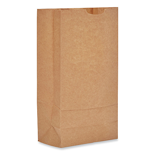 General Grocery Paper Bags, Heavy-Duty, #10 Size, 6.31" x 4.19" x 13.38", Natural, 500/Bundle (GH10500)