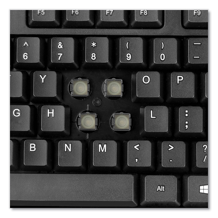 eazyzoom