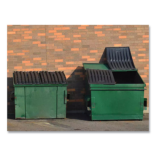Betco Dumpster Treatment, Mango Scent, 1 gal Bottle, 4/Carton (26090400)