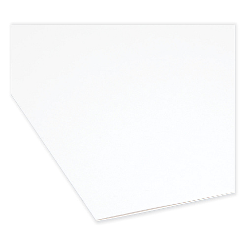 Smead Reinforced Top Tab Colored File Folders, Straight Tabs, Letter Size, 0.75" Expansion, White, 100/Box (12810)