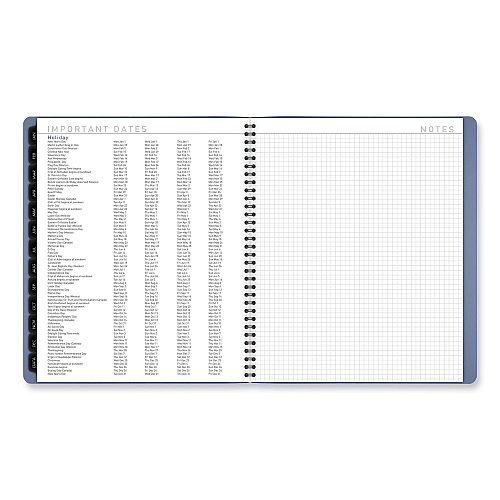 AT-A-GLANCE Contemporary Monthly Planner, 11.38 x 9.63, Blue Cover, 12-Month (Jan to Dec): 2026 (70250X20)