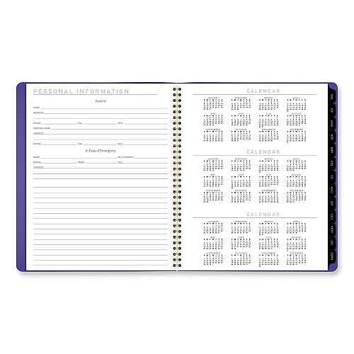 AT-A-GLANCE Contemporary Monthly Planner, 11.38 x 9.63, Purple Cover, 12-Month (Jan to Dec): 2026 (70250X14)
